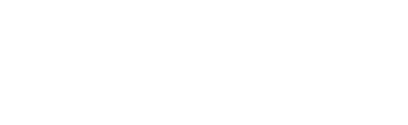 Egger e Mesquita